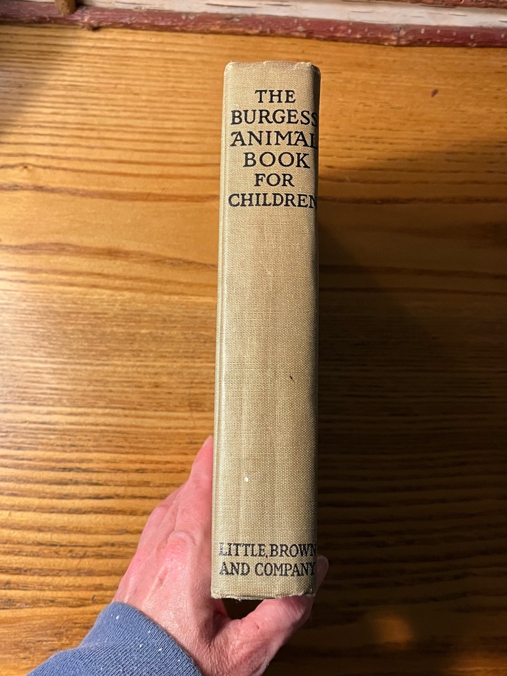 1920 Burgess Animal Book for Children - Hardcover color bookplates - Picture 15 of 16